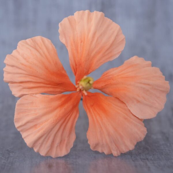 CURSOS DE FLORES - Imagen 4