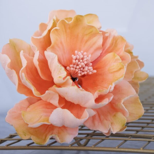 CURSOS DE FLORES - Imagen 3