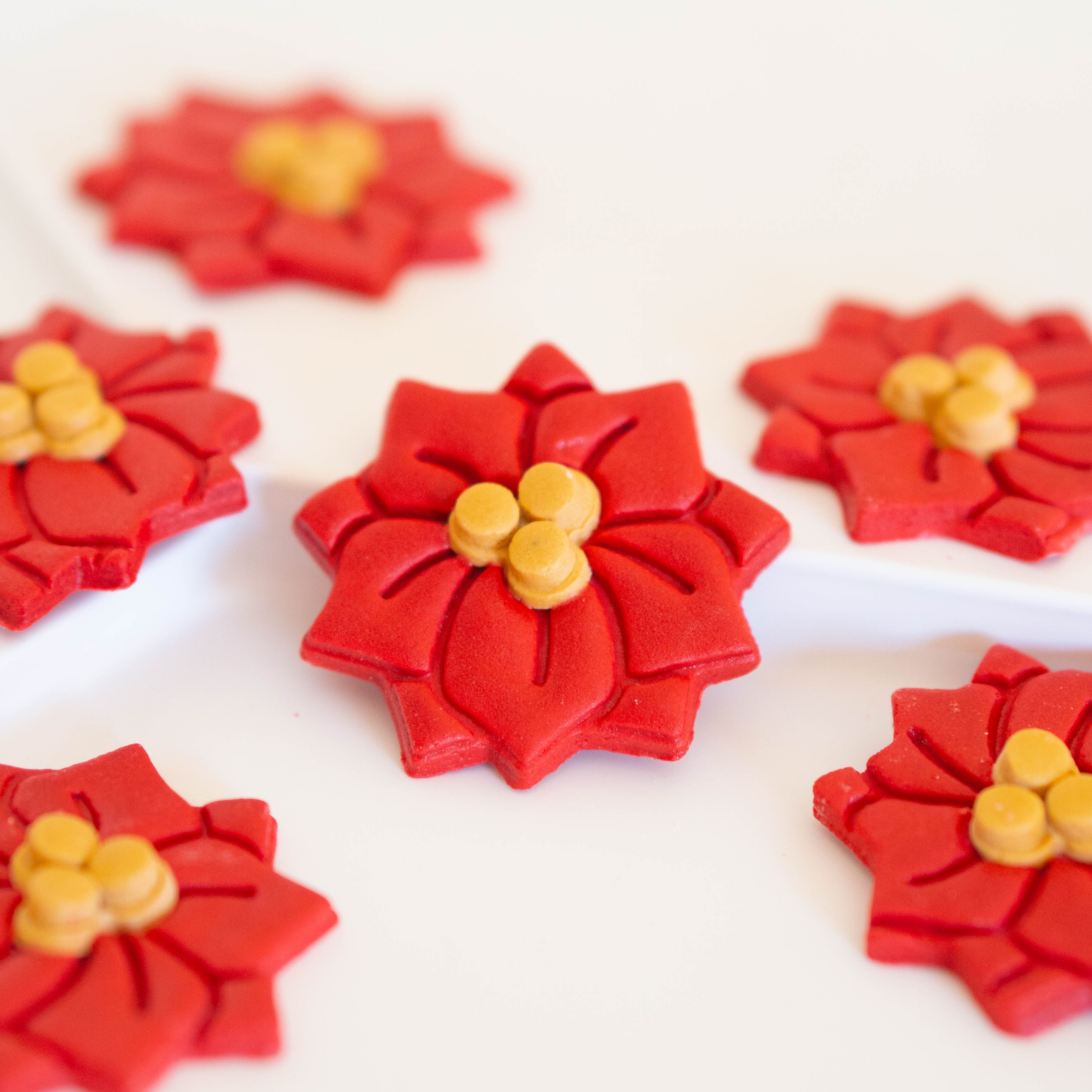 PASCUA (12 UNIDADES)