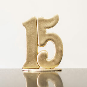 NÚMERO 15