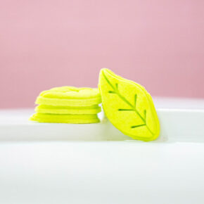 HOJA LIMÓN