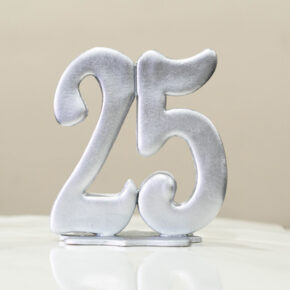 NÚMERO 25