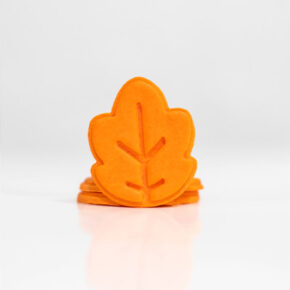 Hoja Otoño 2