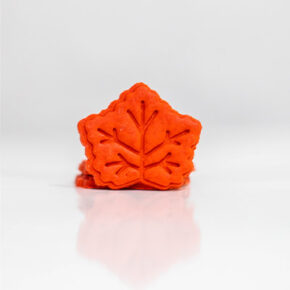 Hoja Otoño 3