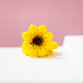 GIRASOL
