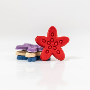 ESTRELLA DE MAR