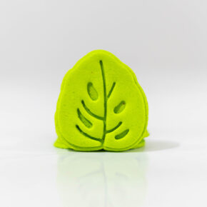 HOJA MANO DE LEÓN
