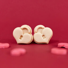 CANDADOS